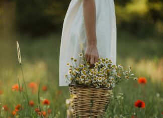 Osmangazi Belediyesi Emlak Vergisi Nasıl Hesaplanır? Merak Edilenler