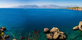 Muratpaşa Belediyesi Emlak Vergisi Hakkında Bilmeniz Gerekenler