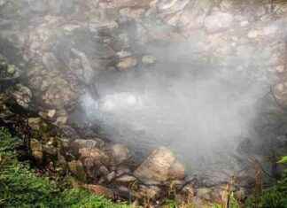 Volkan Patlaması Öncesi Ağaç İpuçları: NASA Uyduları Tespit Etti. volkan-patlamas-ncesi-aa-ipular-nasa-uydular-tespit-etti