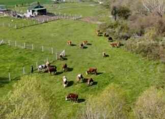Yeni Yönetmelikle Köy Meraları Yatırıma Açılıyor yeni-ynetmelikle-ky-meralar-yatrma-alyor
