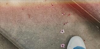 Mamak Belediyesi Emlak Vergisi Nasıl Hesaplanır? Merak Edilenler!