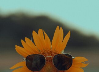 Fethiye Emlak Fırsatları: Kaçırılmayacak Ev ve Yatırım İpuçları