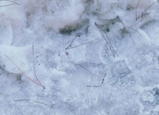 Çorlu Emlak Konutları: Hayalinizdeki Evi Keşfetmenin Sırları