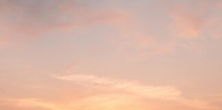 Didim Belediyesi Emlak Vergisi Hakkında Merak Edilenler!