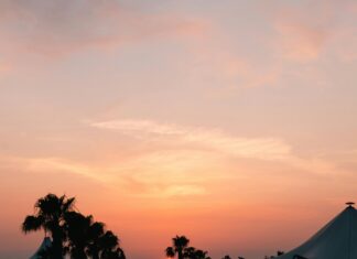 Didim Belediyesi Emlak Vergisi Hakkında Merak Edilenler!