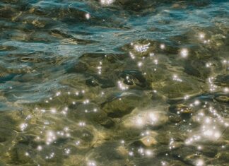 Balıkesir Emlak Fırsatları: Kaçırılmayacak Ev ve Arsa İlanları