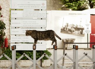 Emlak Katılım Genel Müdürü Kimdir? Başarı Sırları ve Vizyonu