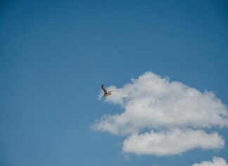 Bulut Emlak İle Hayalinizdeki Evi Kolayca Bulmanın Sırları