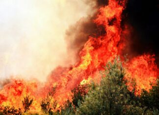 Emlak Çevre Temizlik Vergisi Ödeme Nasıl Yapılır? Tüyolar!