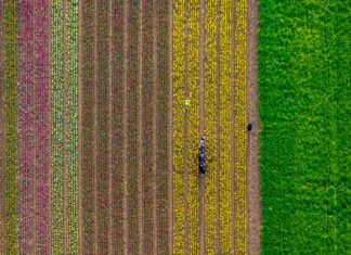 Karaman Emlak Fırsatları: Keşfetmeniz Gereken İnanılmaz İlanlar