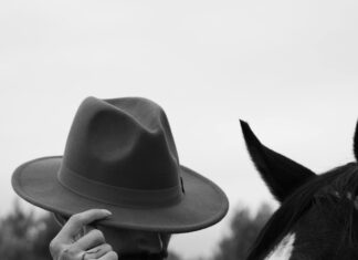 Adana Emlak Fırsatları: Hayalinizdeki Evi Nasıl Bulursunuz?