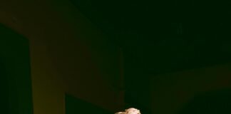 Güneş Emlak İle Hayalinizdeki Evi Keşfetmenin Sırları