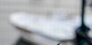 Gebze Emlak Konutları İlkokulu Hakkında Bilmeniz Gerekenler