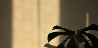 Antalya Emlak Fırsatları: Kaçırılmayacak Yatırım İpuçları