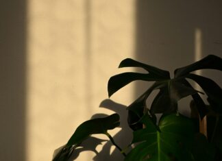 Antalya Emlak Fırsatları: Kaçırılmayacak Yatırım İpuçları