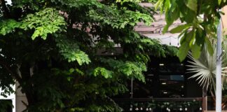 Emlak Logo Tasarımında Başarıyı Getiren Etkileyici İpuçları