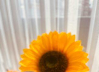 Hepsi Emlak Ankara İle Hayalinizdeki Evi Kolayca Bulun!