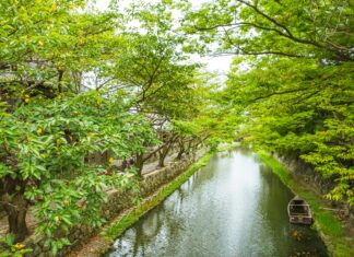 Emlak Konut THY Kura İle Hayalinizdeki Ev Nasıl Kazanılır?