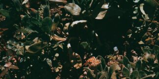 Pendik Belediyesi Emlak Vergisi Ödeme İpuçlarıyla Kolaylık Sağlayın