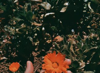 Pendik Belediyesi Emlak Vergisi Ödeme İpuçlarıyla Kolaylık Sağlayın