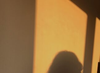 Beylikdüzü Belediyesi Emlak Vergisi Ödeme: Kolay ve Hızlı Yöntemler