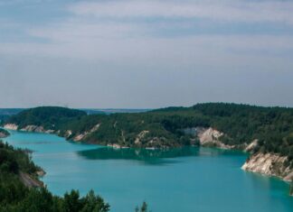 Milli Emlak Gov İle Devlet Arazilerini Kolayca Keşfedin!