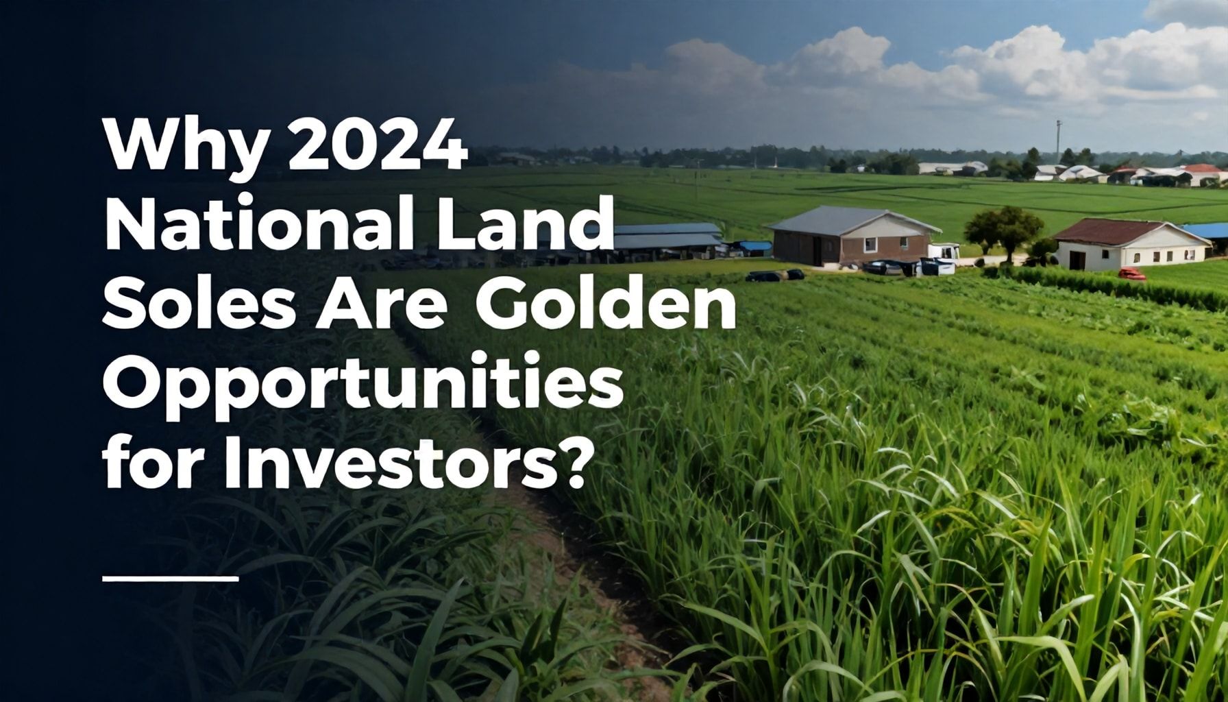 Neden 2024 Milli Arsa Satışları Yatırımcılar için Altın Fırsatlar?"*
